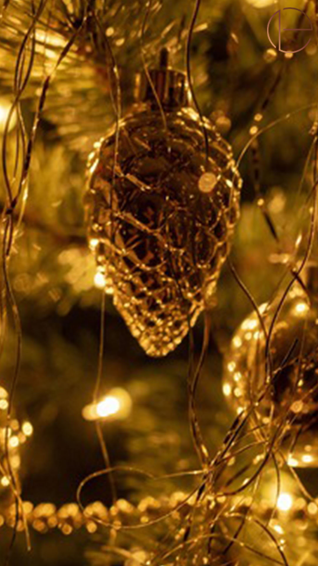 IMG_4901 Weihnachten 2025